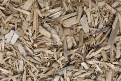 biomass boilers Arle